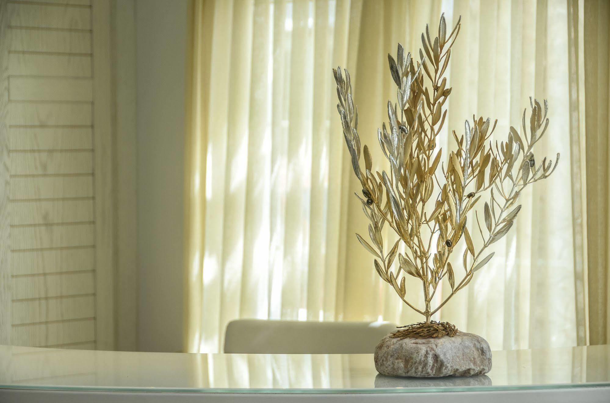 Adriani Hotel Naxos City المظهر الخارجي الصورة